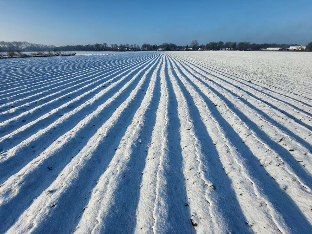 FOMO én sneeuw
